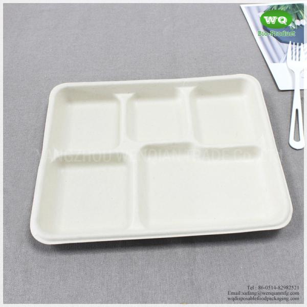 100% Biodegradable Sugarcane Pulp 5 Compartments Tray-High quality Biodegradable food tray For birthday parties
