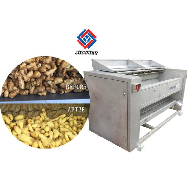 Lavado del cepillo de la raíz de la limpieza de la zanahoria de la patata de la máquina de Peeler de la fruta y verdura 800KG/H