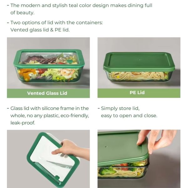 IKOO Modern and Stylish Teal Color Glass Container Made of High Borosilicate Glass Oven Safe and Microwave Safe