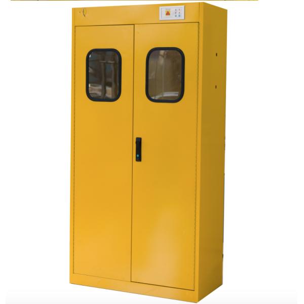 900X450X1800mm All Steel Lab Gas Cylinder Storage Cabinet for 2 Bottles