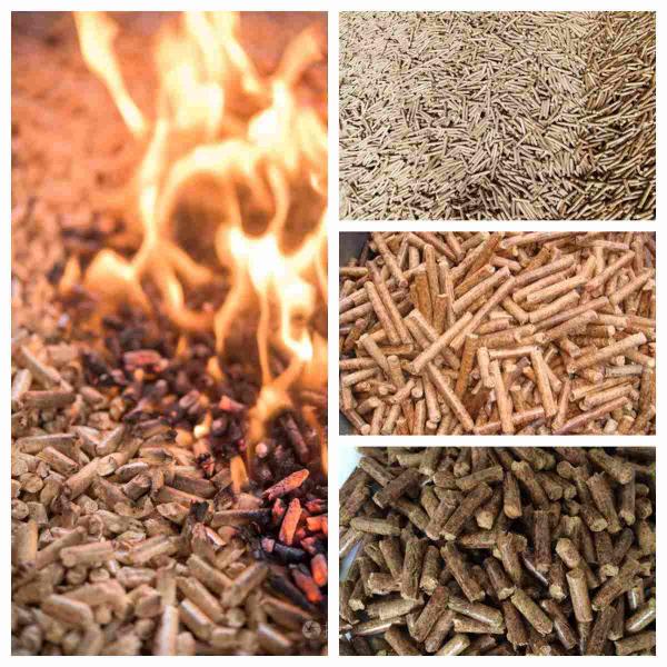 машина лепешки высоких роликов мельницы 3 лепешки прессы 300kg/H деревянных небольшая деревянная