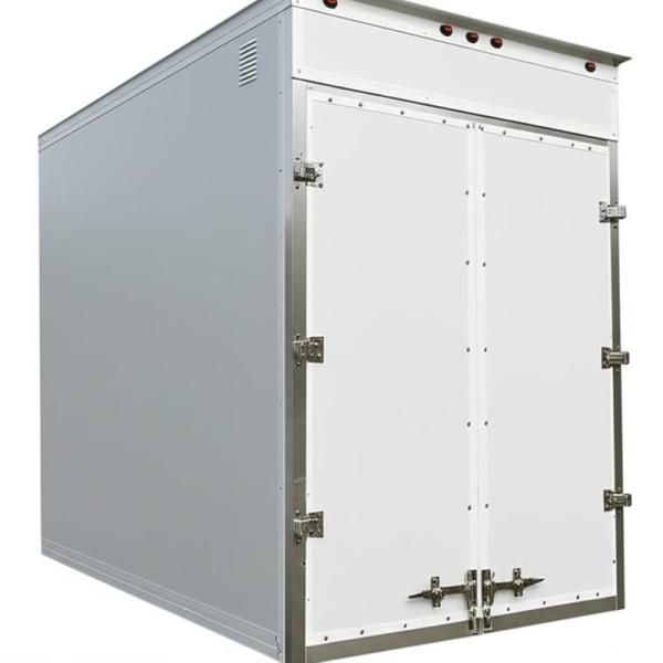 Boîte de camion réfrigérée isolée en FRP avec assemblage de colle à vis