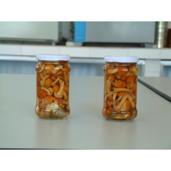 Весь гриб Намеко консервируя свежие овощи в размере вкуса опарника соленом Мулти