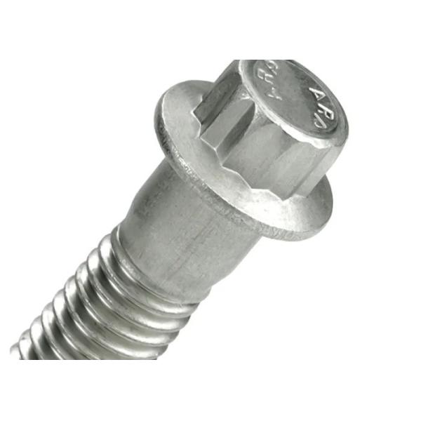M7 M12 M20 Stainless Steel 12 Point Flange Head Bolt SS304 SS316 A2-A4