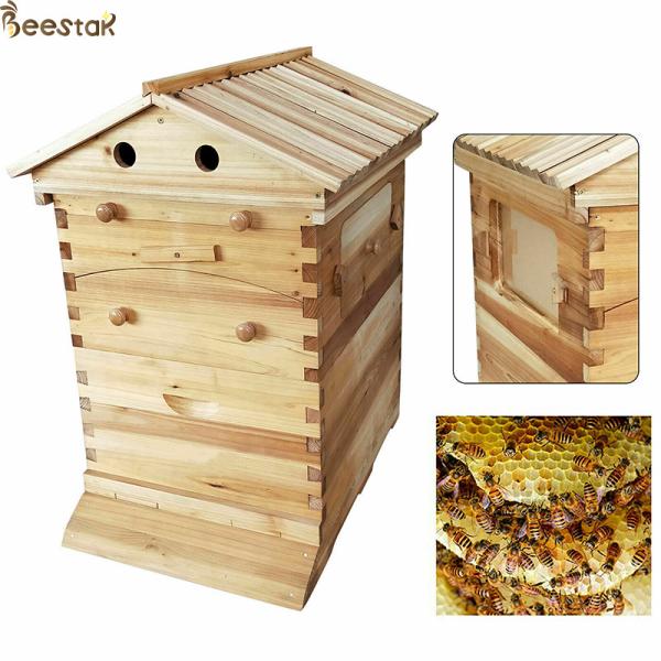 Chinese Fir Wood Beehive And Frame With Automatic Honey Flow For Beekeeping Requirements