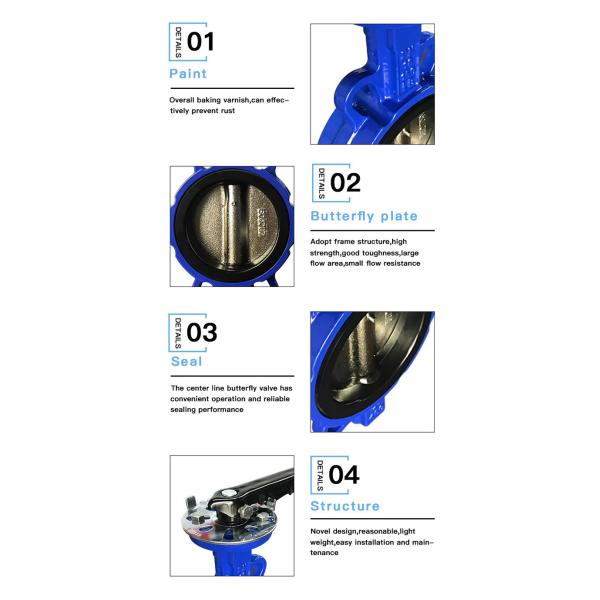 DN50 PN16 Ductile Iron Handle Clamp Soft Seal Butterfly Valve Bolted Connections