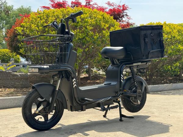 JINNIU-2   650W New Two-Wheeled Electric Vehicle