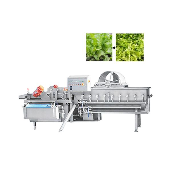 Industrial Automatic Vortex Fruit Vegetable Washing Machine 1000KG/H