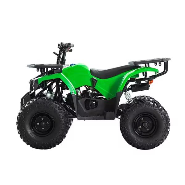 125cc Engine Quadbike ATV Motorcycle Engine 125cc for Differential Lock Unequipped
