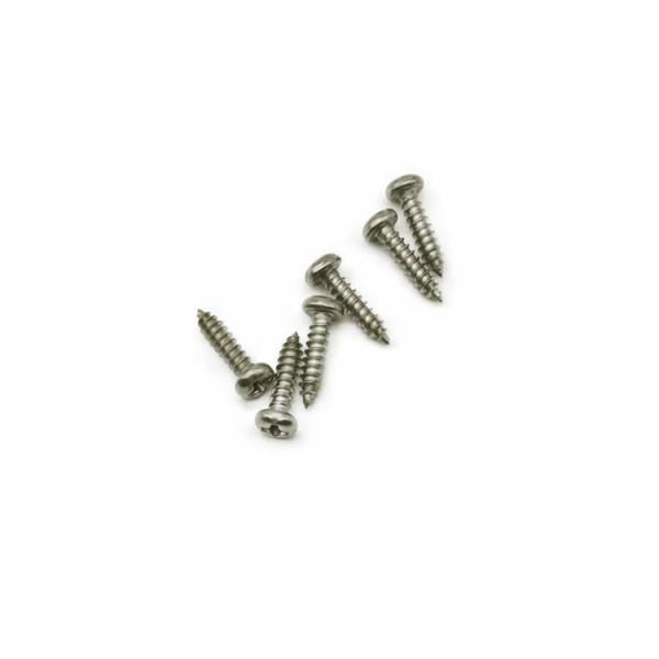 Forjamento frio de aço inoxidável de PA3.0X12 Pan Head Self Tapping Screws