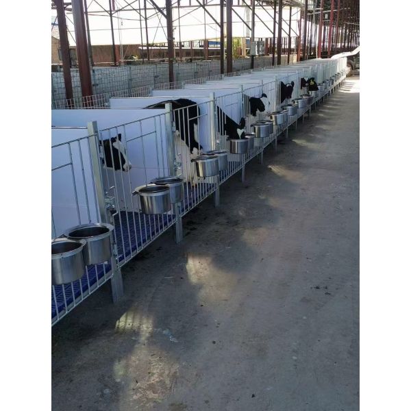 10-Stall Linked Calf Pen