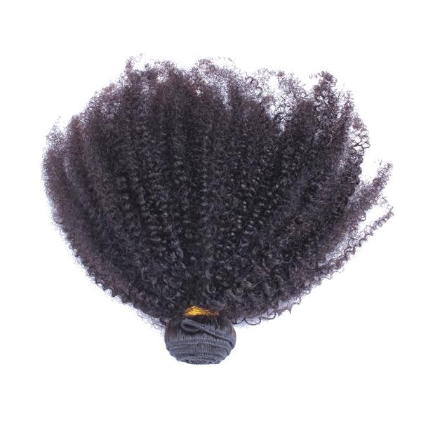 Afro Kinky Curly Hair No Shedding , No Tangling 100% Brazilian Human Hair Extensions