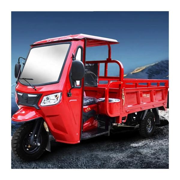 Motorized 3 Wheel Cargo Tricycle for Adults 1000W Gasoline Engine Tricycle Motorcycle
