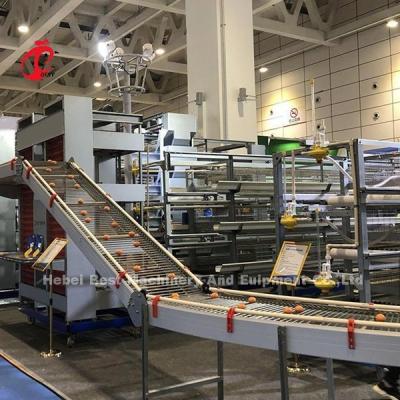 Tipo equipamento da bateria de exploração avícola da camada com a máquina de alimentação automática 9 séries Mia