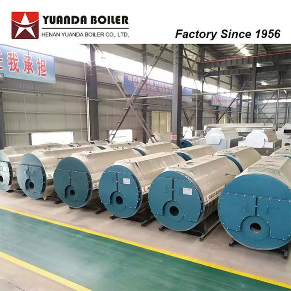 WNS 10 Ton 10tph Gas Diesel Fuel Steam Boiler For Beverage Factory