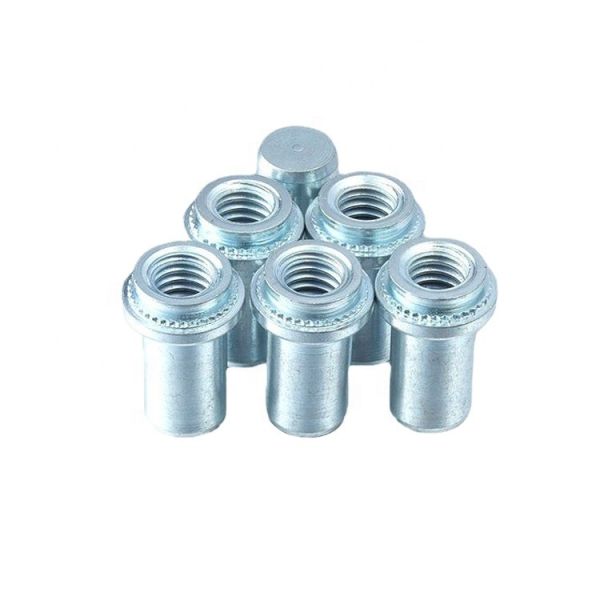 Galvanized Finish Closed Sealing Nut Waterproof Self Clinching Blind Fasteners B Nuts