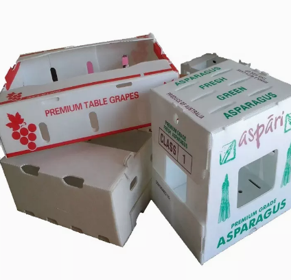 2400x1200 2440x1220 Ящик для фруктов и овощей Пластиковый гофрированный