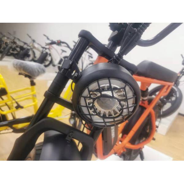 Двойной дисковый тормоз 48 В 1000 Вт Мотор Эбик 20 дюймовый электрический жирный шины велосипед с шинами Кенда