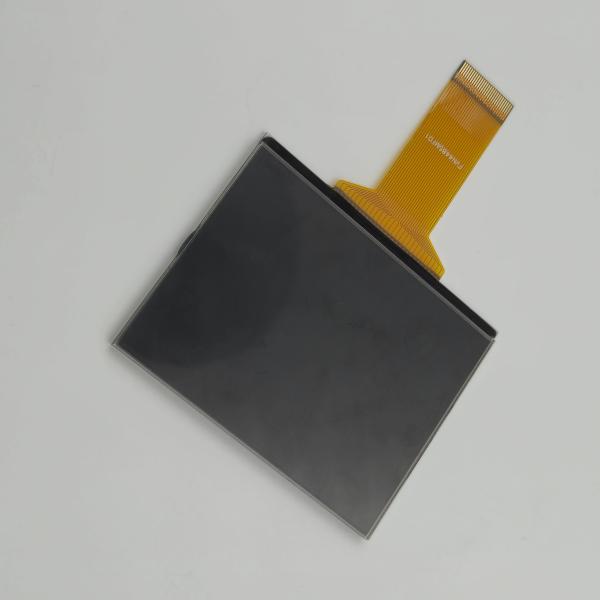 VA Negative Display Segment LCD Screen | Custom Monochrome LCD Display Manufacturer & Supplier