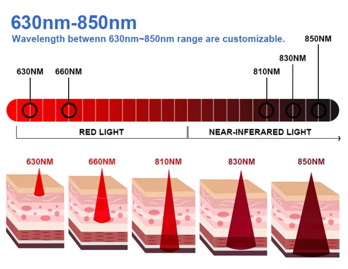 Custom Horse Leg Red Light Therapy Wrap with 660nm & 850nm Wavelengths and 55W LED Power for Equine Wellness