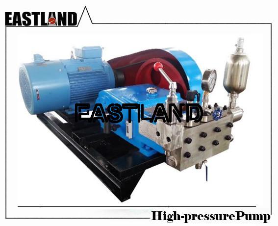 Sell Quality Chemical Feeding Pump Triplex Plunger Pump Made in China