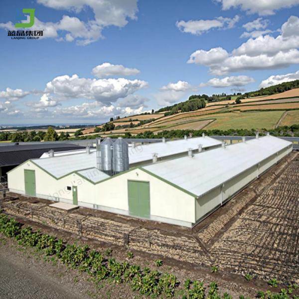 Cheap Agricultural Steel Structure Prefabricated Poultry Chicken Broiler Layer Cage Ground House Pig Farm Cow Barn Full Equipment One-stop Service