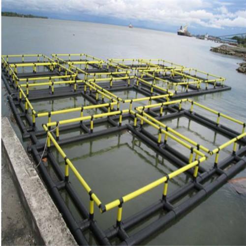 Long Life Anti UV Floating Fish Cage Safety Corrosion Resistance Less Maintenance