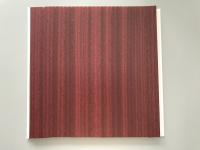 Easy Maintenance Plastic Laminate Panels For Washing Rooms / Kitchens