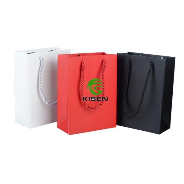 Paper Gift Retail Shop Bags With Handles Lightweight Custom Size / Color
