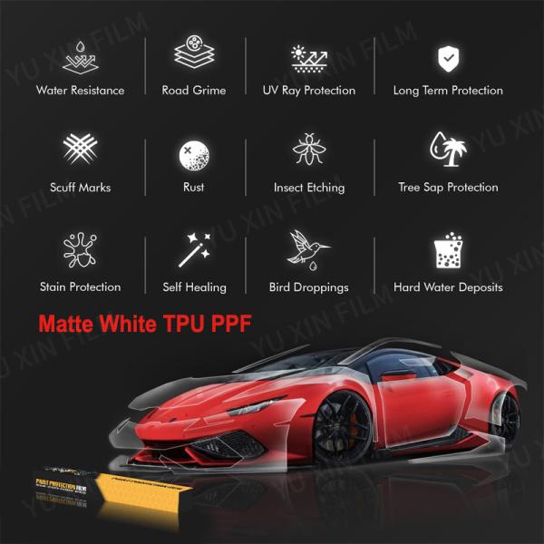 Custom Logo Vehicle Paint Protection Film Matte Lubrizol TPH PPF Roll Car Vinyl Wrap