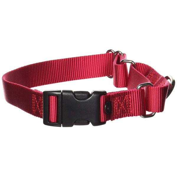 Martingale Soft Nylon Dog Collar With Quick Snap Buckle