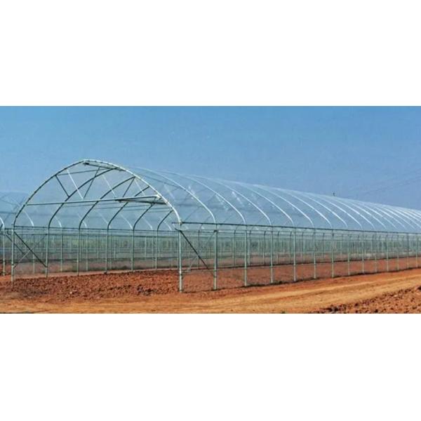 Aluminum Alloy Tomato Farming Tunnel Greenhouse 8*30m Anodizing