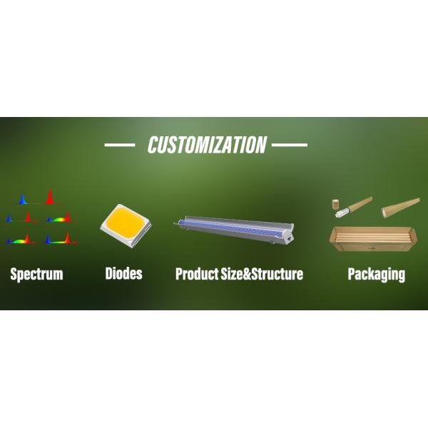 FR led tube grow lights long Lifespan 0.6m 0.9m  indoor led plant light