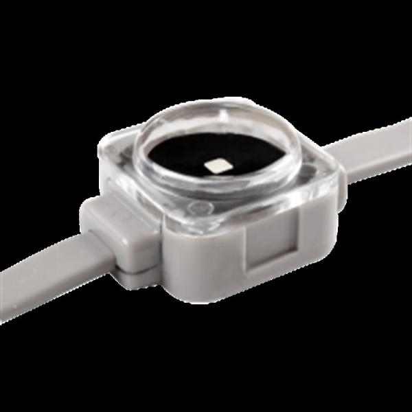 25mm RGB SMD3535 0.3W Smart Pixel IP67 Waterproof Lights for Dynamic Lighting Effects