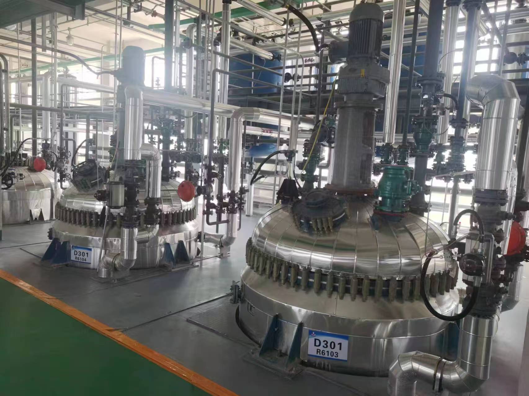 Pesticide Removal Adsorbent Resins for Berry Juice Kosher Halal Certified