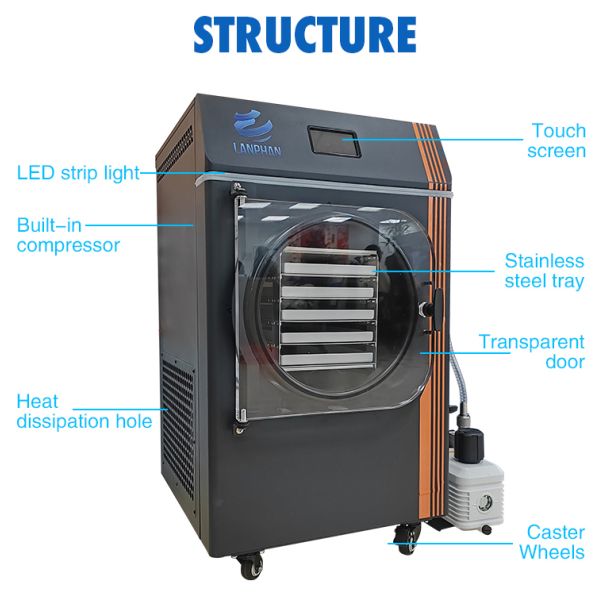 Smart Mini Freeze Dryer with Vacuum Pump Energy-Efficient Lyophilizer for Home Use