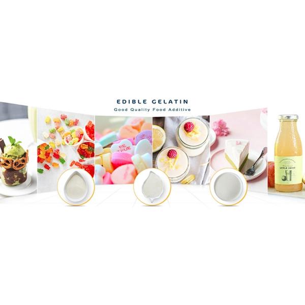 260 Bloom Gelatine de bœuf comestible sans odeur Gelatine de bœuf pour les bonbons