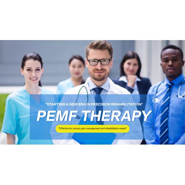 Pmst Loop Pemf Therapy Machine For Human Pain Relief Animals Health Care