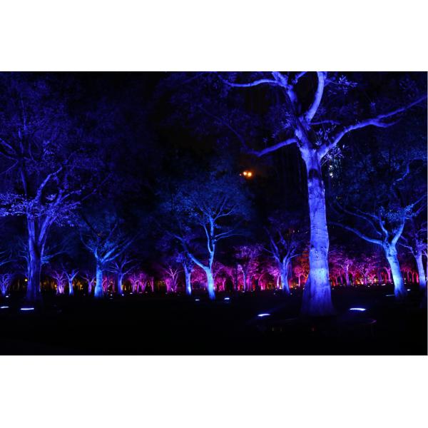 Сада светов потока ландшафта СИД IP65 36W лампа дерева на открытом воздухе водоустойчивая серповидная