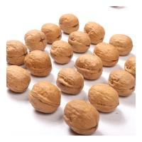 Fabricant vente en gros de noix de Xinjiang 185 en coquille et de noix de xin2/33