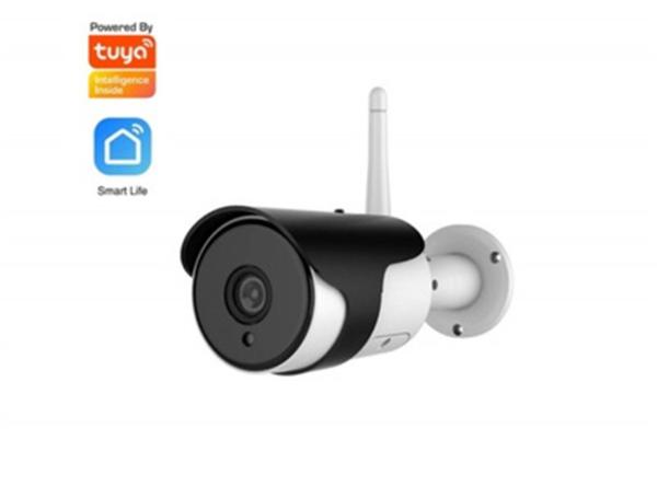 Surveillance Camera Waterproof Bullet Outdoor Camera 1080P with Night Version IP66(AK8641)