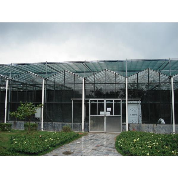 Galvanized Steel Pipe Multi Span Greenhouse Vegetable Greenhouse Kits For Winter Cover
