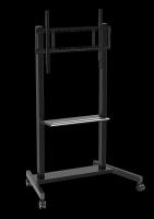 factory Wholesale 55