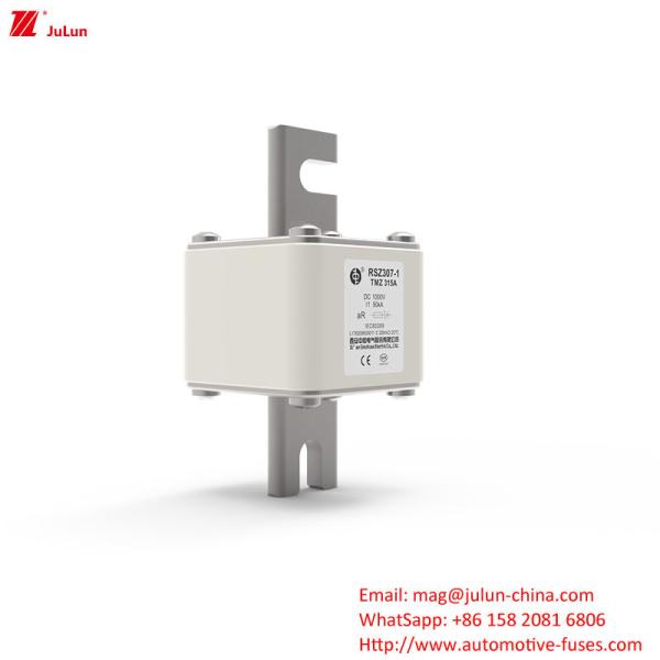 315A DC250V Cargador de EV portátil Fuse Solución definitiva para los propietarios de EV