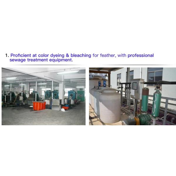 Guangdong Hongfa Import & Export Co., Ltd.