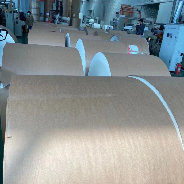 Matéria prima de papel revestida impermeável 350g do copo de chá de QS W 1200mm