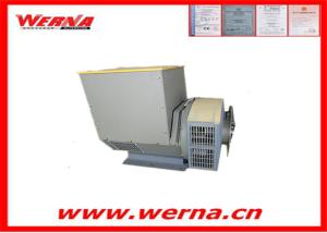Alternador trifásico 110-240V 12/6 hilos sin escobillas refrigerado por aire