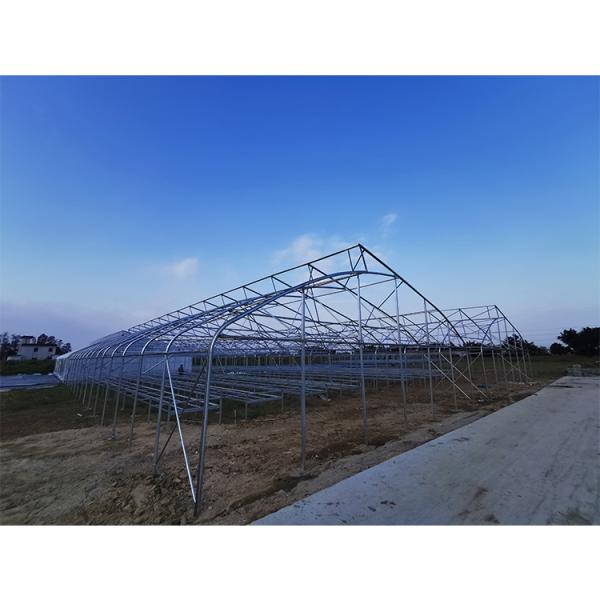 Film Covered Greenhouse Hydroponics System Agricultural DWC Hydroponics System