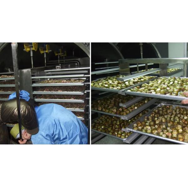 Большой нержавеющая сталь пищевая морозильная сушилка Фруктовые цветы Промышленная морозильная сушилка