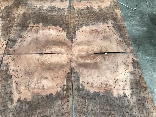 Walnut Burl Veneer Walnut Burr Veneer Exotic Walnut Burl Wood Veneer for Fine Furniture
